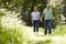 Senior Couple Walking In Summer Countryside