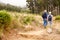 Senior couple walking together in a forest, back view