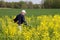 Senior Cutting Chicory