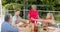 Senior diverse group of women enjoy a meal outdoors