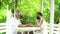 Senior elder Asian couple wearing mask quarantine together in natural green house