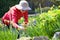 Senior elderly person active lifestyle in garden during bright colourful spring sunshine and summer temperature