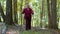 Senior elderly tourist grandmother training Nordic walking with ski trekking poles, hiking in wood