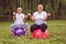 Senior exercise - pensioner couple holding dumbbells while sitting on fitness ball in park