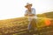 Senior farmer in a field