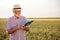 Senior farmer filling out questionnaire during wheat field inspection