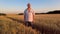 Senior farmer looks around ripe wheat field at sunset. Grain harvesting concept in agriculture