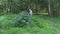 Senior farmer man with watering can water ripe potato plants