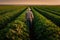 Senior Farmer\\\'s Sunset Inspection of Soybean Field. created with Generative AI