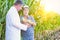 Senior farmer showing corn to crop scientist in field