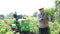 Senior farmer shows the harvest in the field in summer.