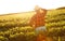 Senior farmer standing in a field