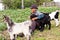 Senior farmer with three baby goat