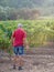Senior farmer in a vine field wearing a red t-shirt and shorts looking at the vines