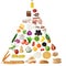 Senior Food Pyramid