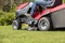 Senior gardener cut grass