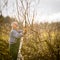 Senior gardener  in his  garden