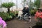 Senior gardener in wheel chair and a cat in green house