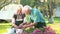 Senior gardeners couple and flowers.