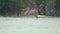 Senior good looking surfer floating in ocean