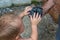 Senior grandfather shows baby bird to a grandson.