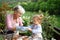 Senior grandmother with small granddaughter gardening on balcony in summer.