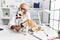 Senior grey-haired man wearing veterinarian uniform examining chihuahua at vet clinic