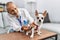 Senior grey-haired man wearing veterinarian uniform examining chihuahua at vet clinic