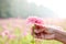 Senior hands holding pink flowers in a large outdoor garden.