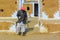 Senior Indian man stands on the entrance of his traditionally painted house in Thar desert, Khuri, Jaisalmer