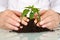 Senior and kids hands pampering a new plant