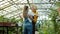 Senior lady working in greenhouse then hugging granddaughter talking to child discussing plants