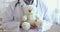 Senior male general pediatrician holding teddy bear in hands, closeup