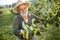 Senior man in the apple orchard