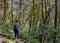 Senior man with a backpack and in a baseball cap is walking along a hiking trail among relict trees. In the yew and boxwood grove