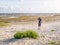 Senior man with binoculars looking at dried out boat on tidal flats at low tide of Waddensea from beach of Boschplaat on