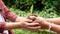 Senior man and daughter are holding young plant on blur nature background with sunlight. Concept of generation and development.