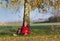 Senior man with dog sitting on grass leaning on tree