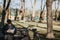 Senior man enjoying a peaceful read on a park bench with his bicycle nearby.