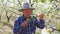 senior man farmer working analyze the flowers on the fruit tree