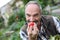 Senior man gardening tomatoes