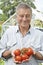 Senior Man In Greenhouse With Home Grown Tomatoes