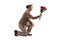 Senior man kneeling with a bouquet of roses