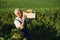 Senior man lifting box full of seasonal vegetables. The concept of healthy eating