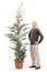Senior man looking at a potted coniferous tree