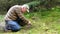 Senior man picking porcini mushrooms in the fir forest