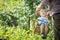 Senior man pushing happy grandson on swing