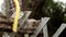 Senior man sawing a log handsaw closeup