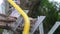 Senior man sawing a log handsaw closeup