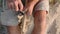 Senior man sits on the beach and making flute by hands, close-up.